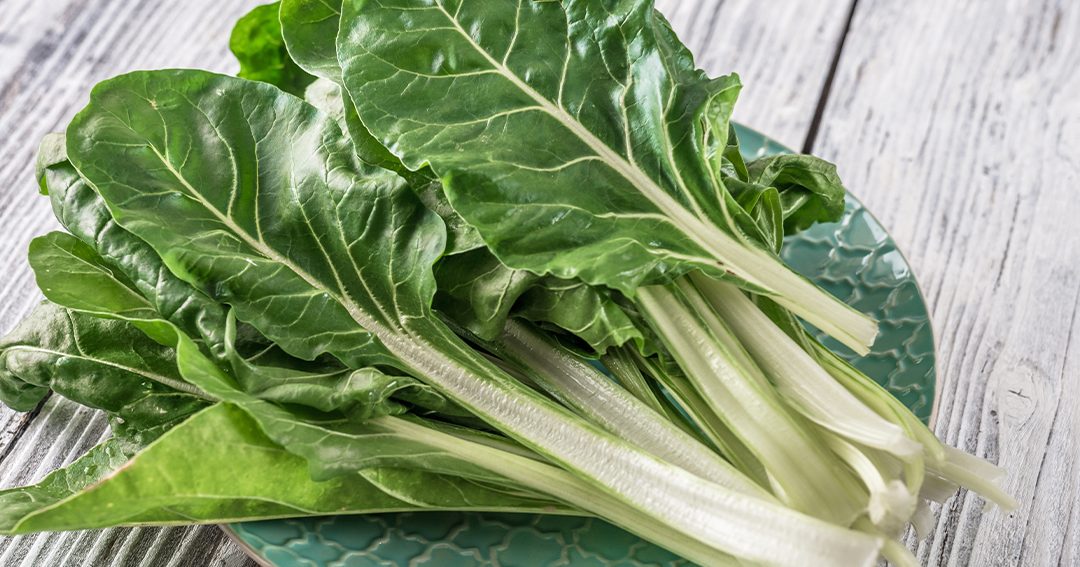 acelgas beneficios y contraindicaciones propiedades y cuidados