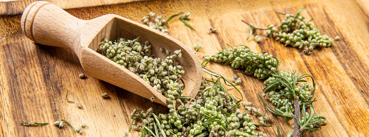 artemisa propiedades y contraindicaciones que debes conocer