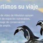 aves en peligro de extincion la llamada de la naturaleza