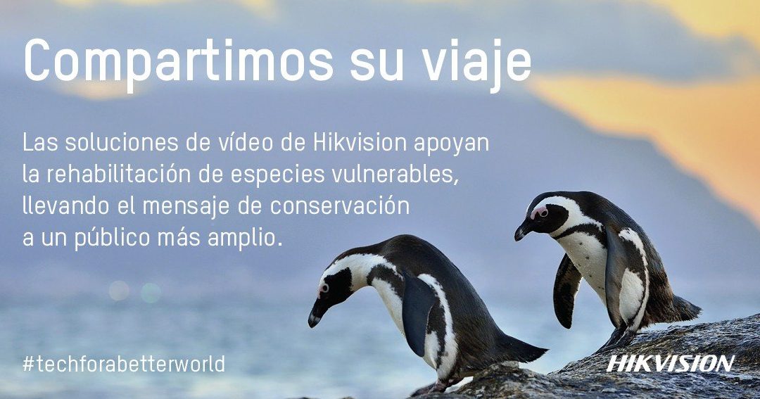 aves en peligro de extincion la llamada de la naturaleza