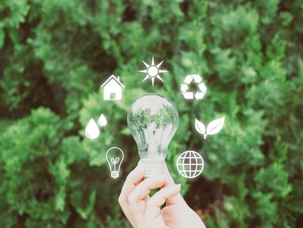 biocapacidad definicion y relacion con el desarrollo sostenible