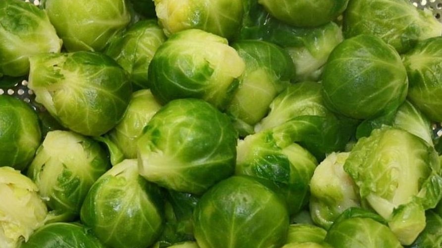 coles de bruselas beneficios y contraindicaciones que necesitas conocer