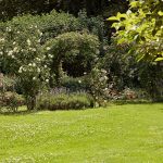 como abonar el cesped en primavera guias y consejos para un abonado cesped efectivo