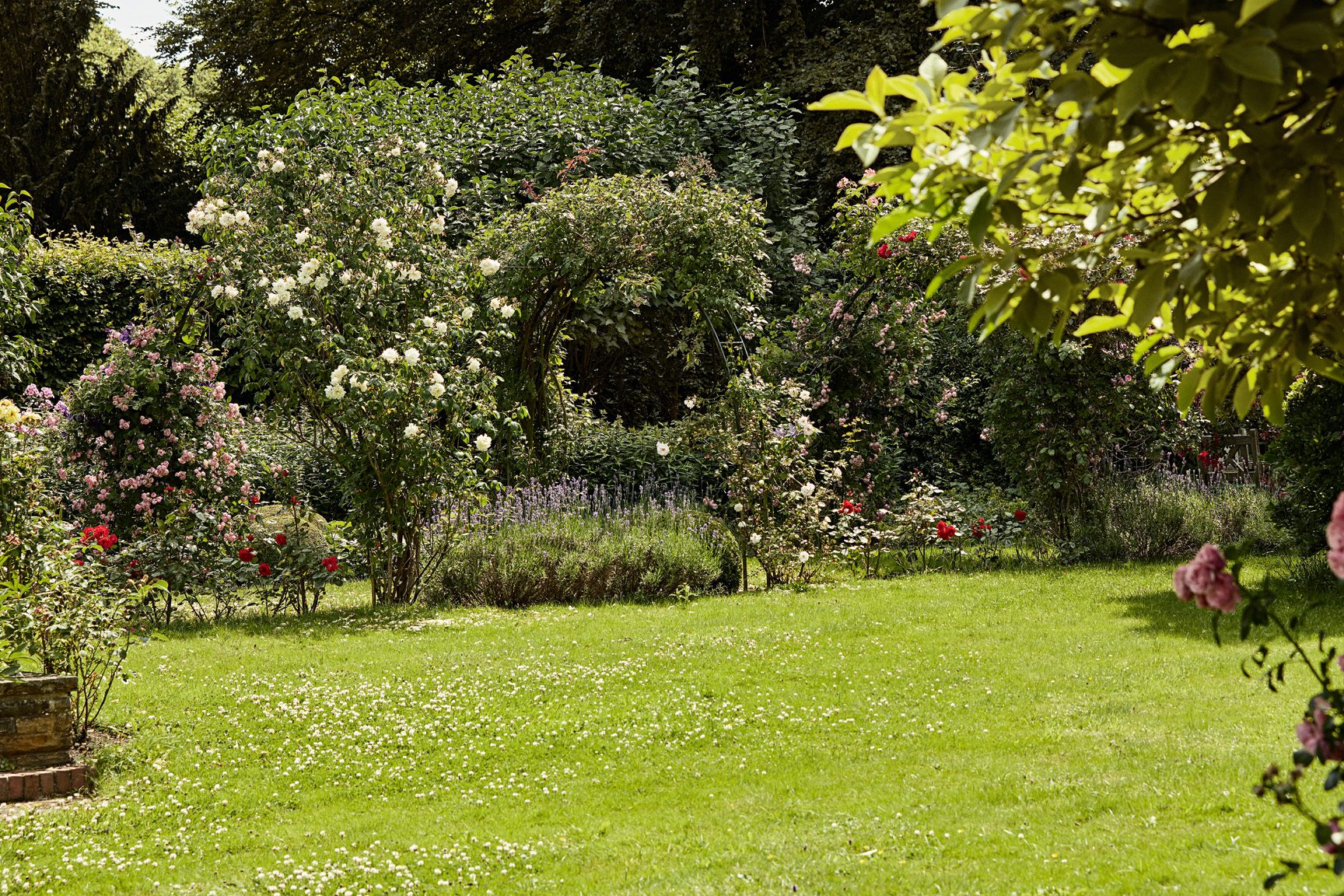 como abonar el cesped en primavera guias y consejos para un abonado cesped efectivo