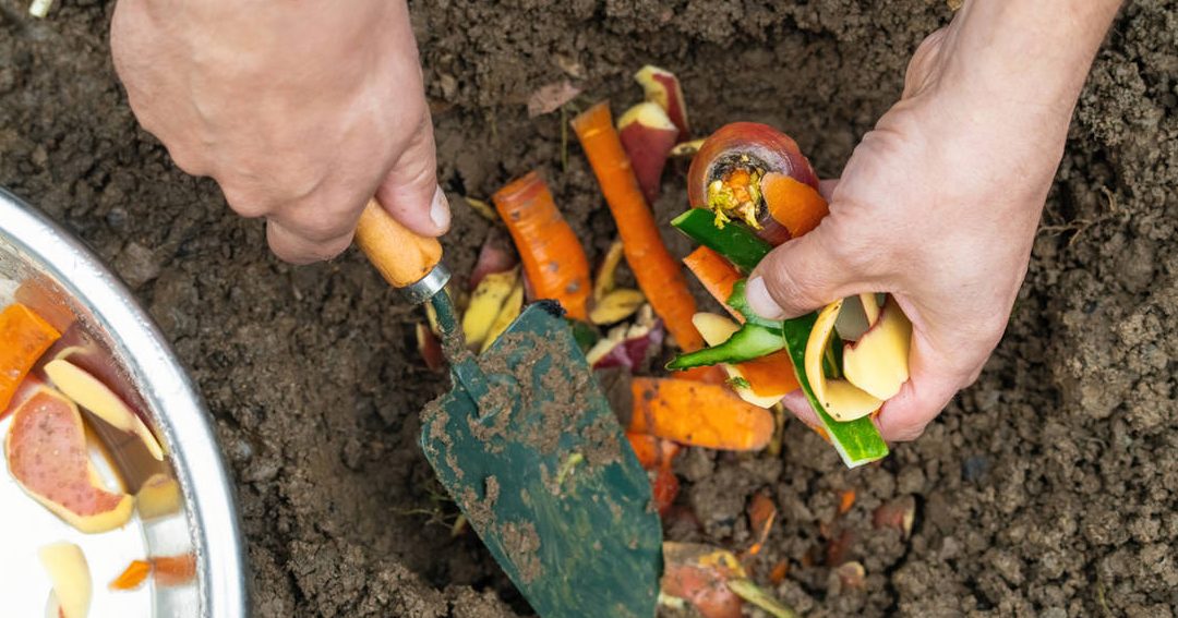 como hacer humus de lombriz guia practica y facil para el huerto