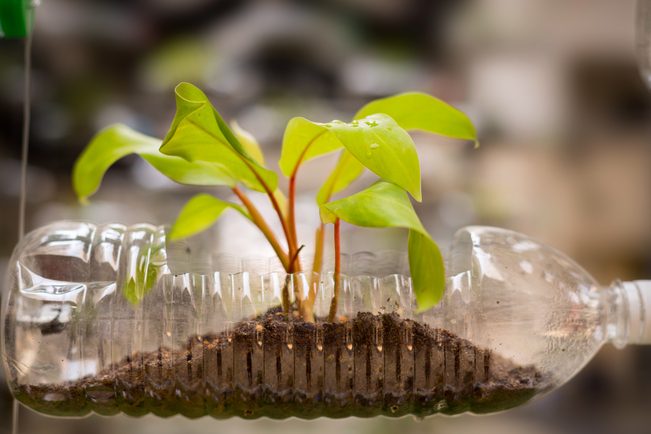 como reciclar plastico en casa un impacto positivo en el medio ambiente