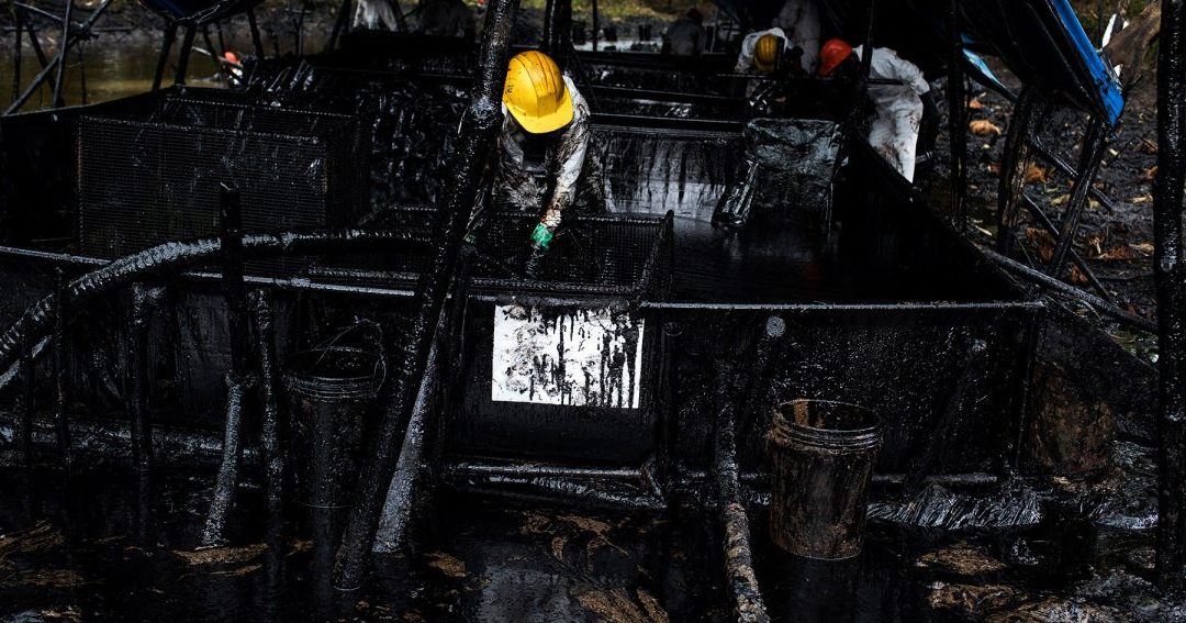 como se forma el petroleo para ninos descubriendo el oro negro