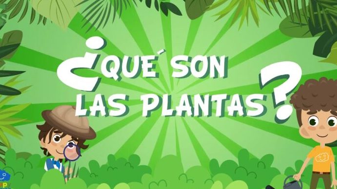 como se reproducen las plantas sin flores explorando la magia de las plantas sin flores y sin semillas