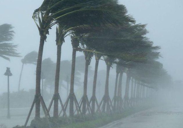 comprendiendo el aire fuerte y el viento fuerte precauciones a tomar
