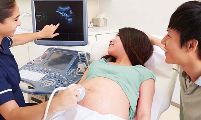 cosas de biologia podemos determinar el sexo antes de nacer