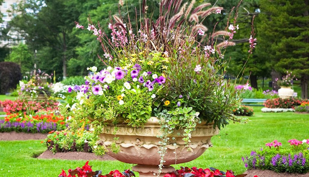 crea un jardin de suculentas facil y bello guia completa para crear jardines de suculentas