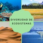 cuantos ecosistemas hay tipos de ecosistemas en el mundo