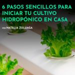 cultivo hidroponico casero tu guia para empezar a cultivar en casa