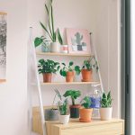 decora tu hogar con unaplanta alta y estrecha 25 opciones ideales scaled