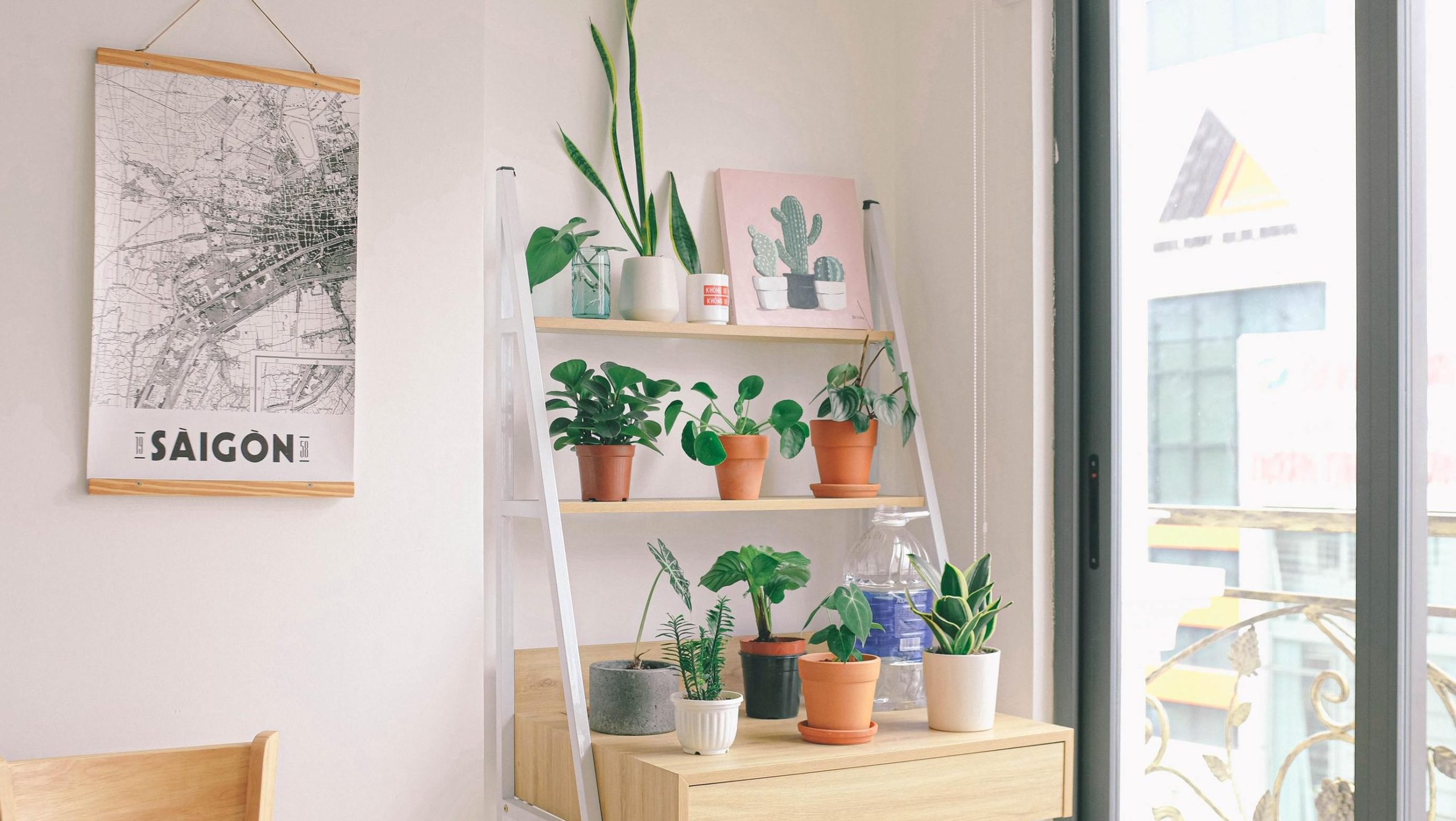 decora tu hogar con unaplanta alta y estrecha 25 opciones ideales scaled