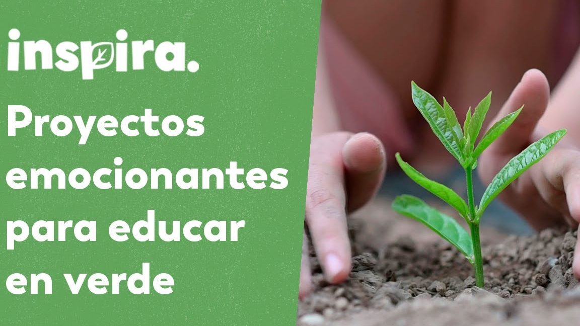 desarrollo sostenible ejemplos para ninos que inspiran futuro