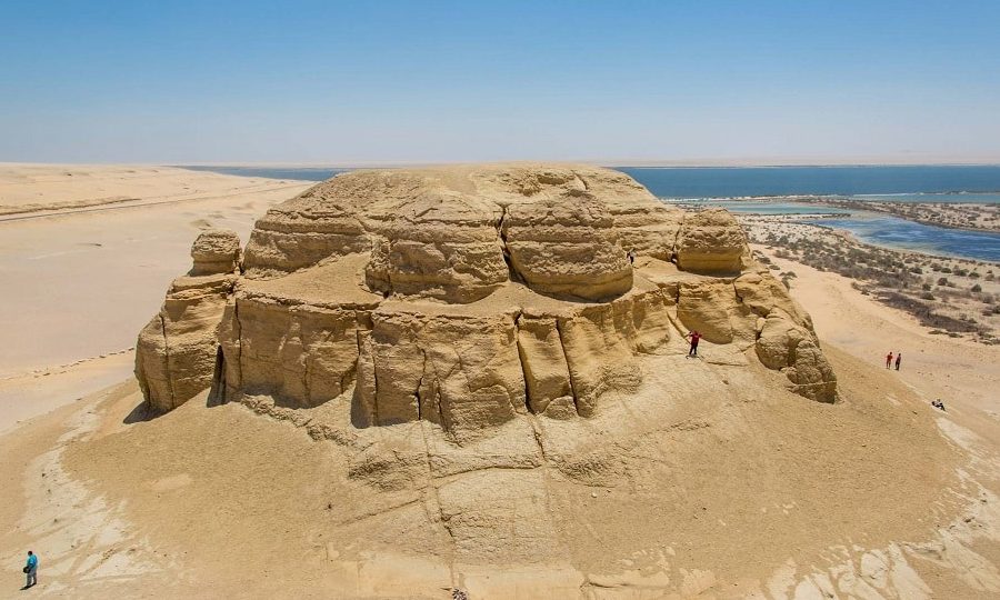 descubriendo el fascinante viaje de la evolucion de las ballenas prehistoricas