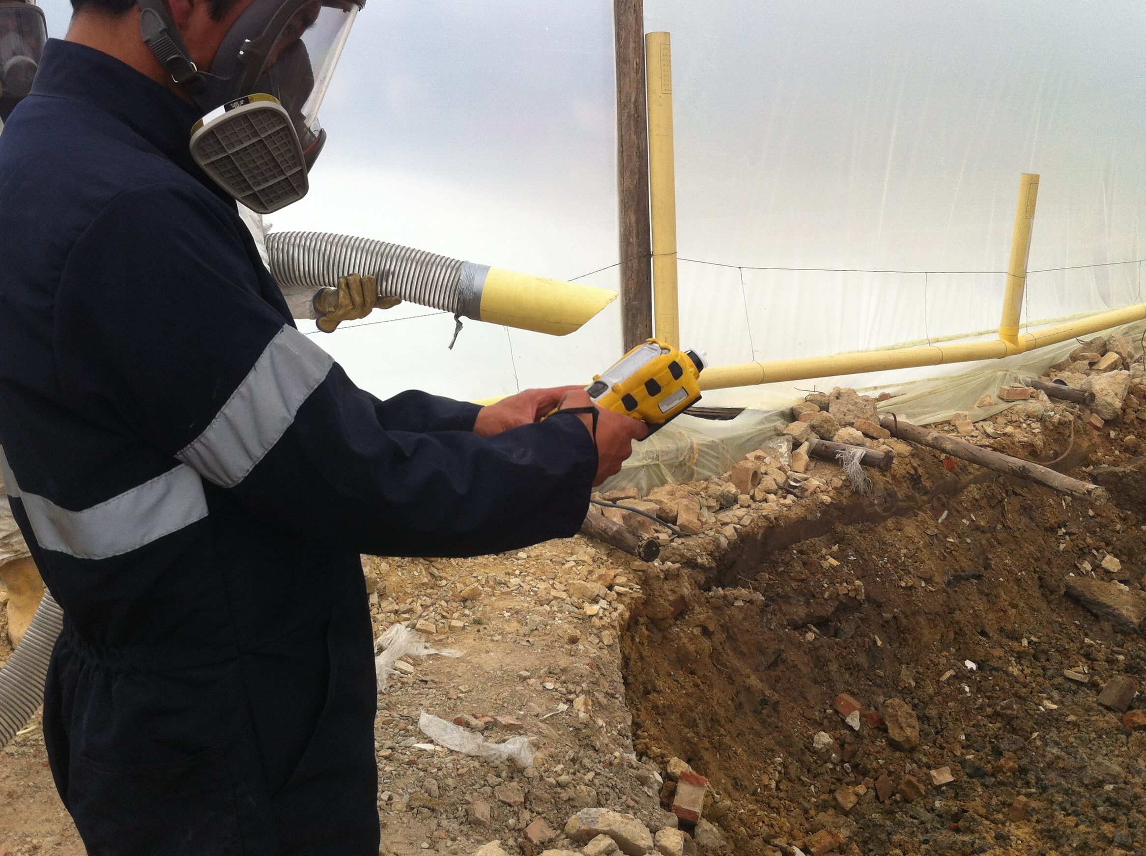 descubriendo la biorremediacion ejemplos clave en el proceso