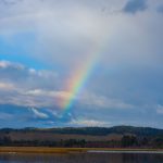 diferencia entre parque natural y nacional diferencias claves