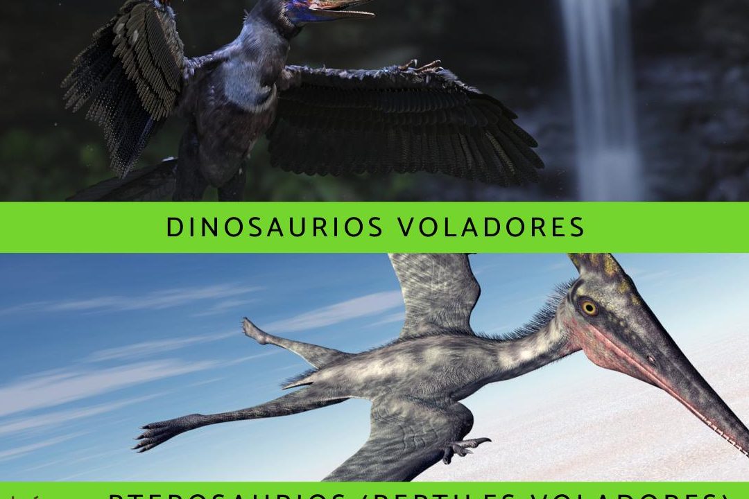dinosaurios de aire dinosaurios voladores nombres e imagenes