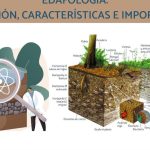 edafologia que es descubre la ciencia que studia el suelo