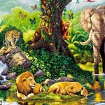 ejemplo de biotopo que es el biotopo de un ecosistema