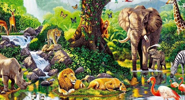 ejemplo de biotopo que es el biotopo de un ecosistema