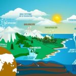 el ciclo del agua resumen para ninos fases del ciclo del agua primaria