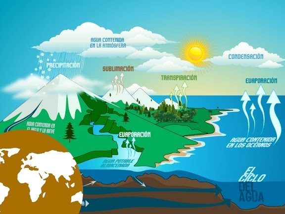 el ciclo del agua resumen para ninos fases del ciclo del agua primaria