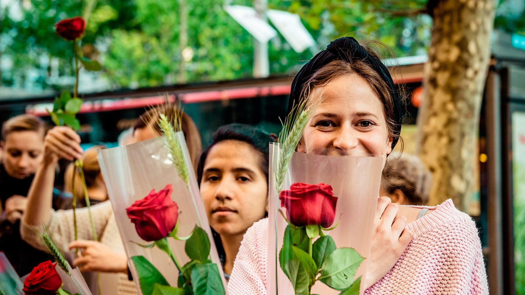 el dia de la rosa celebrando cultura y amor en cataluna