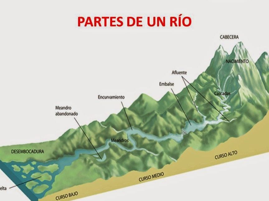 elementos de un rio partes de un rio para imprimir y colorear