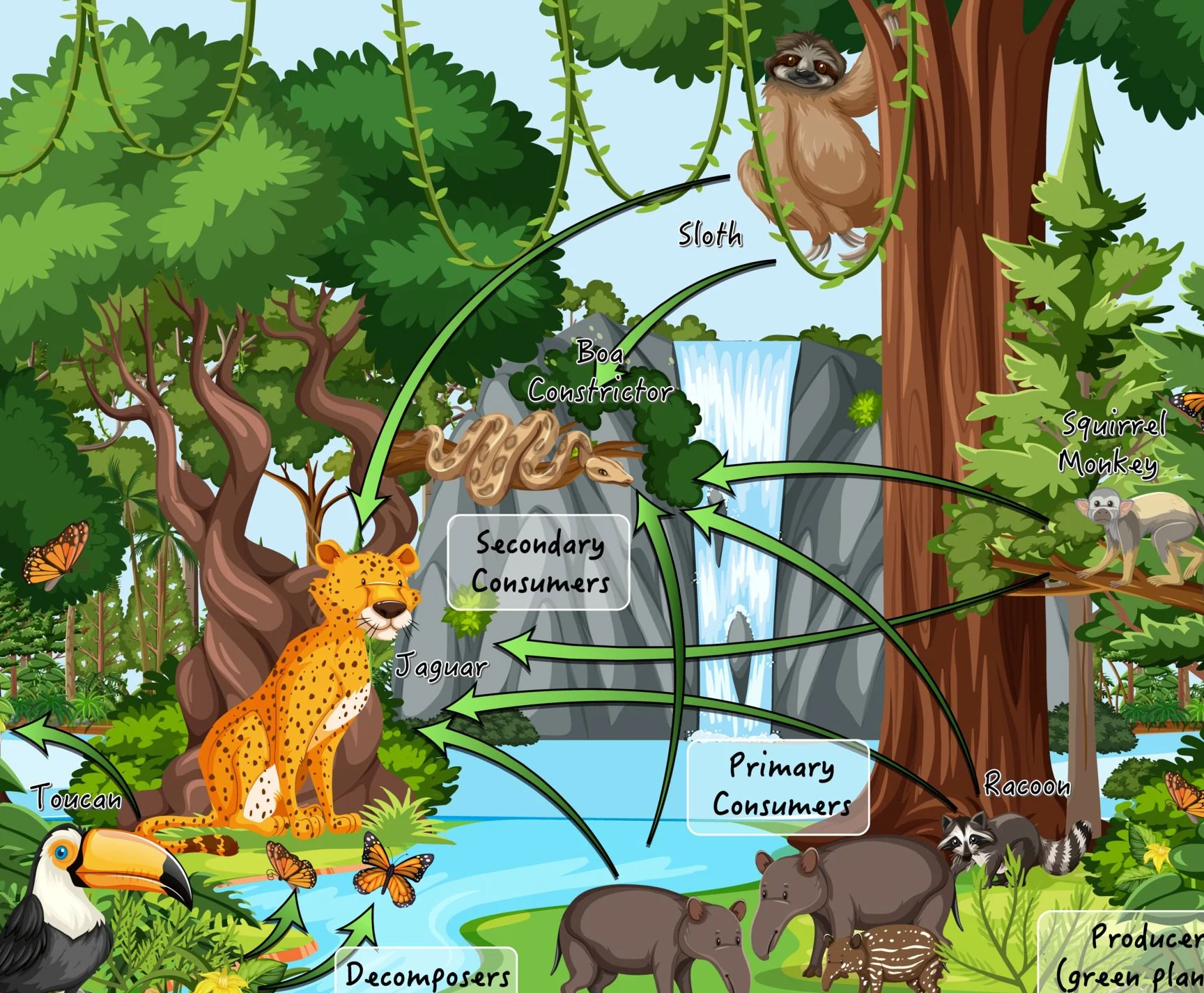 entendiendo las relaciones troficas en los ecosistemas una guia esencial