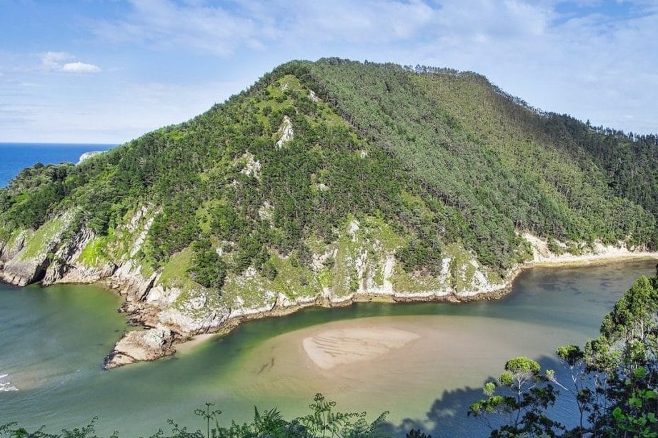 estuarios ejemplos y la importancia de estos ecosistemas vitales