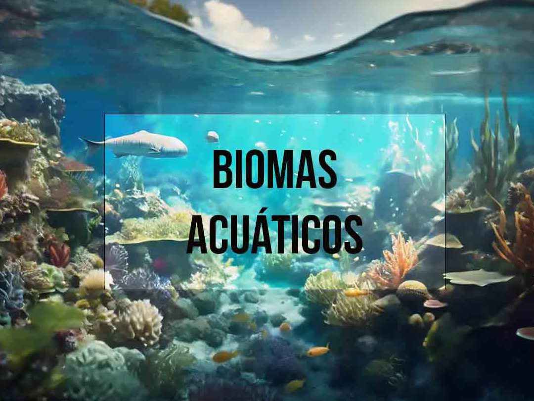 explora los fascinantes biomas acuaticos diversidad y vida