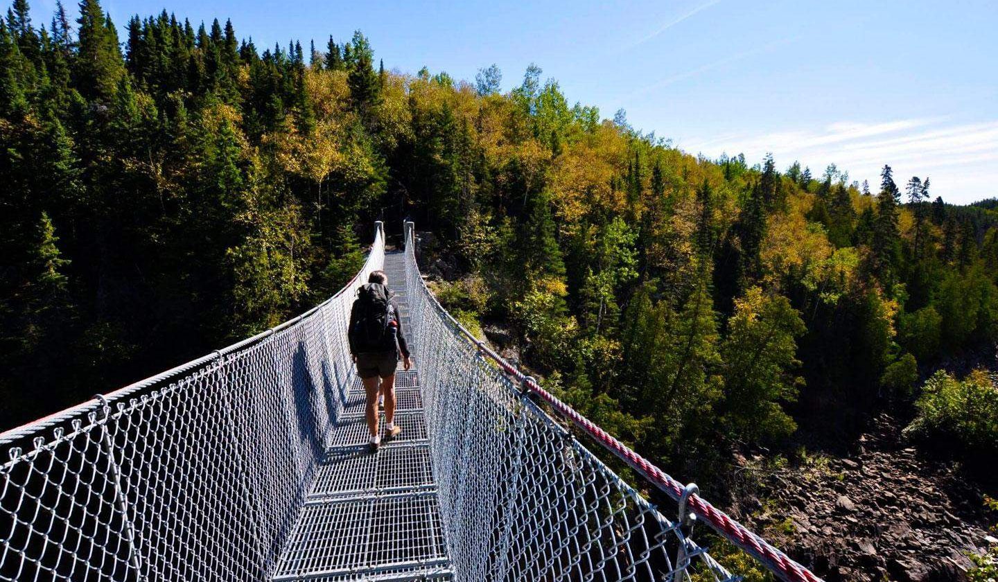 explorando la increible flora de canada una mirada a la flora canada