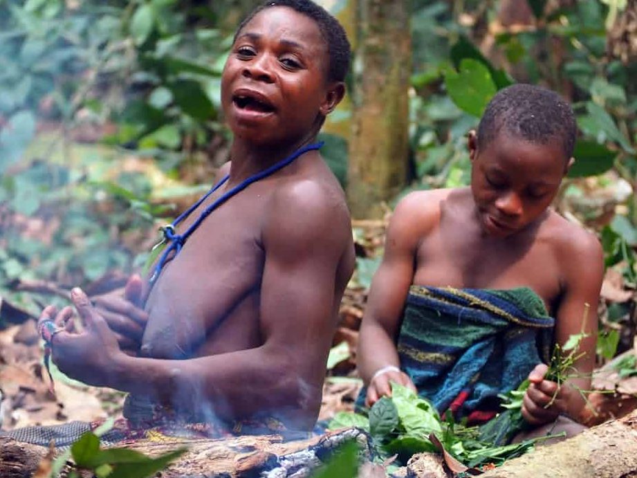 explorando la riqueza cultural de la tribu de negros nombres y costumbres de las tribus de africa