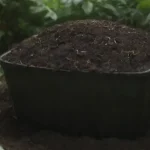 explorando los diferentes tipos de compost y sus beneficios