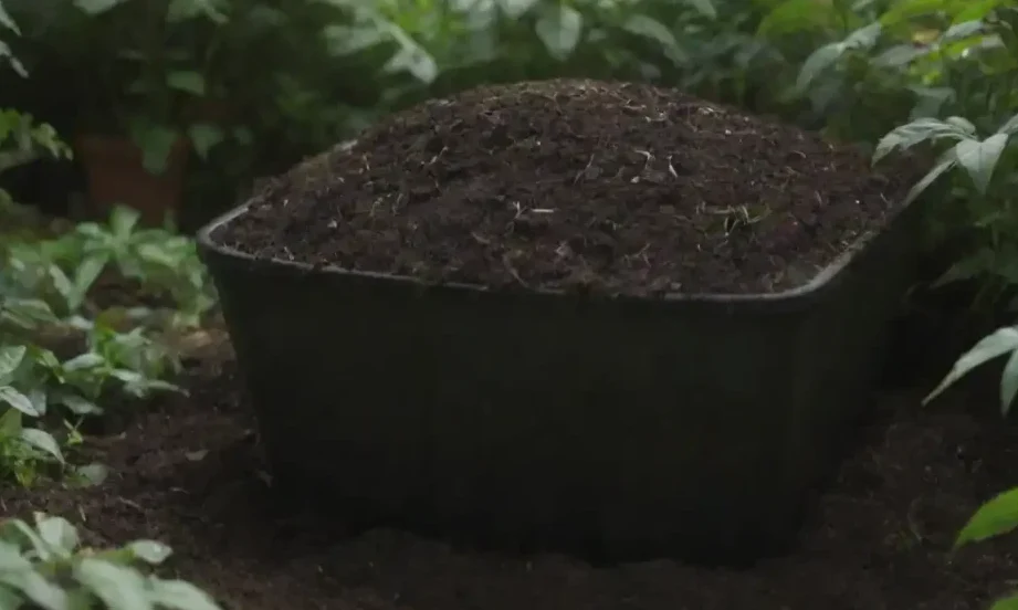 explorando los diferentes tipos de compost y sus beneficios