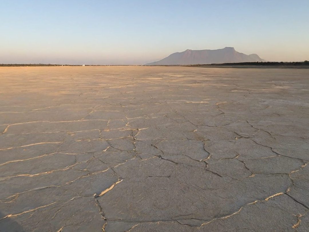 explorando los horizontes del suelo su formacion y estructura