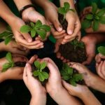 fomentando laconciencia ambiental ejemplospara un futuro sostenible