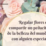 frases sobre rosas flores y reflexiones sobre la vida