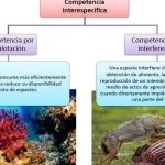 funcion de relacion en los seres vivos ejemplos y conceptos clave