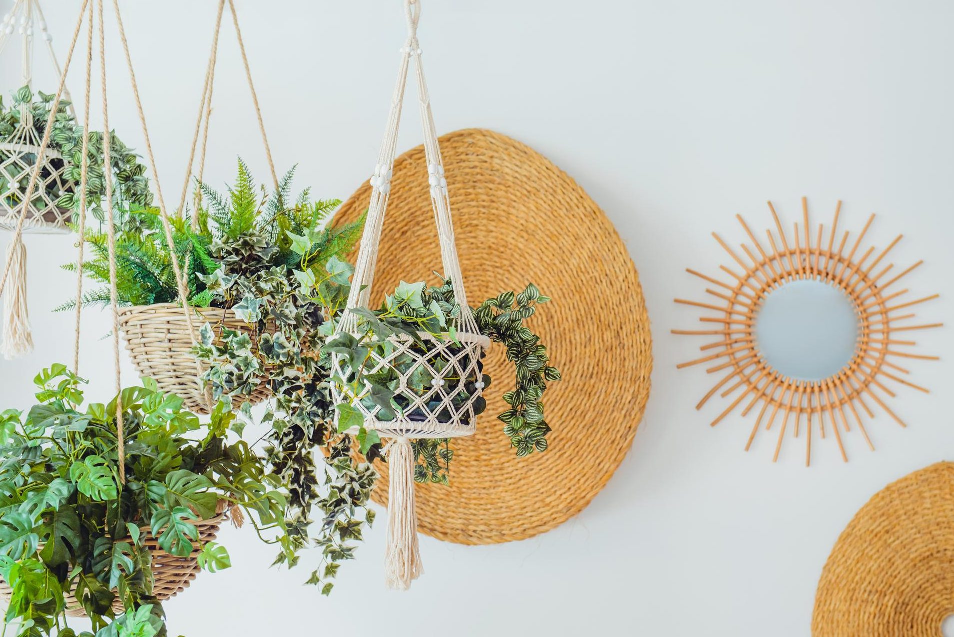 guia completa sobreplantas aesthetics la tendencia en decoracion