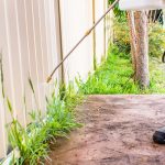 herbicida casero con vinagre y sal una opcion segura y efectiva