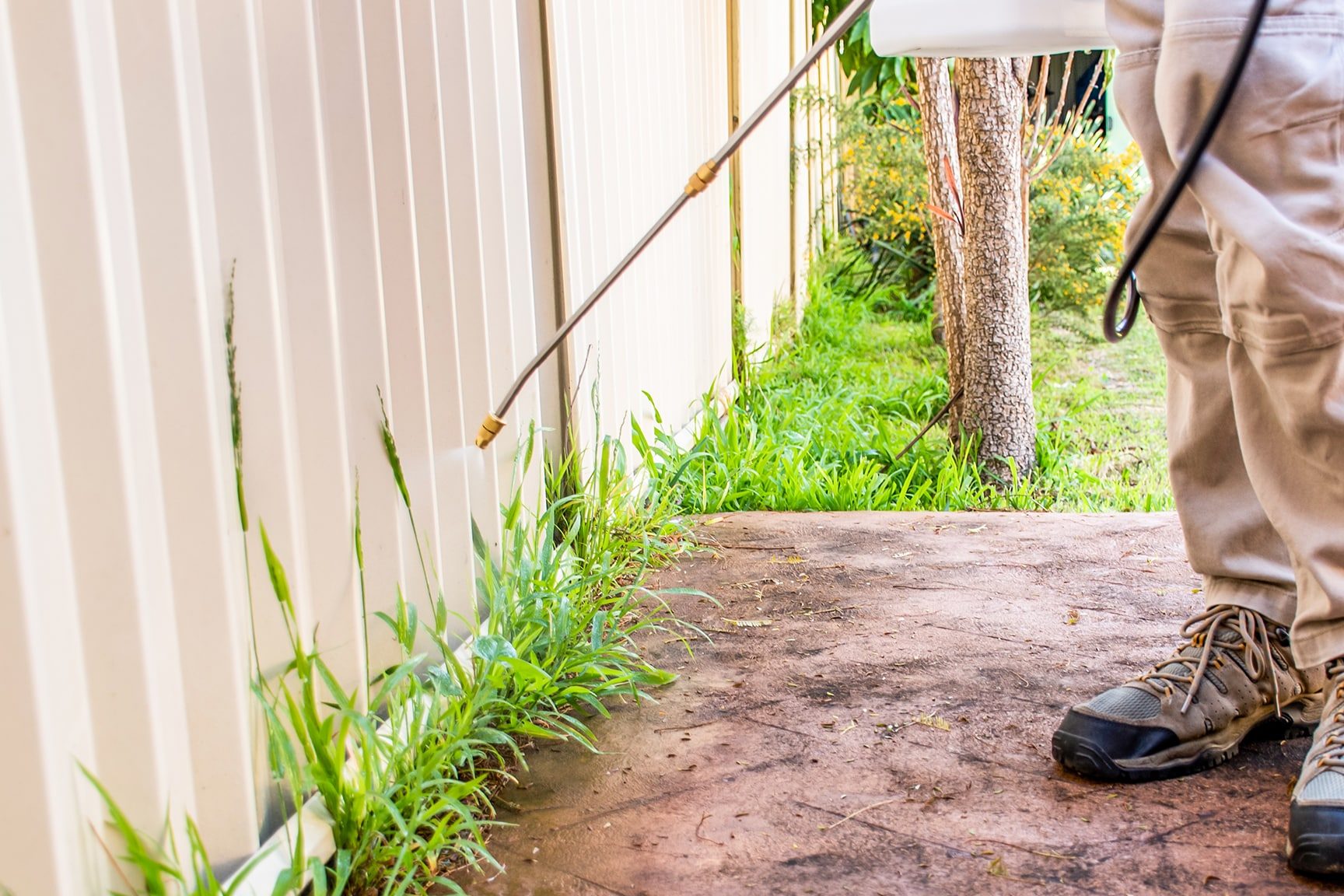 herbicida casero con vinagre y sal una opcion segura y efectiva