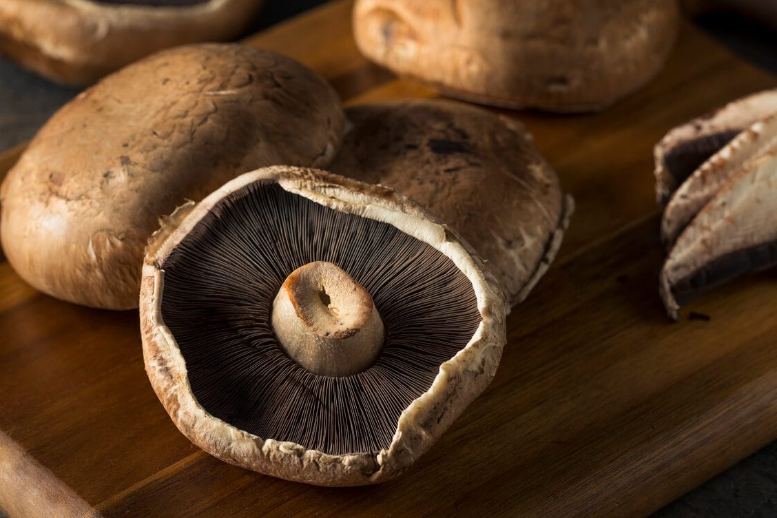 hongos portobello contraindicaciones champinones beneficios y perjuicios