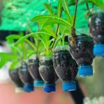 ideas creativas parareciclar botellas de plastico decoracion