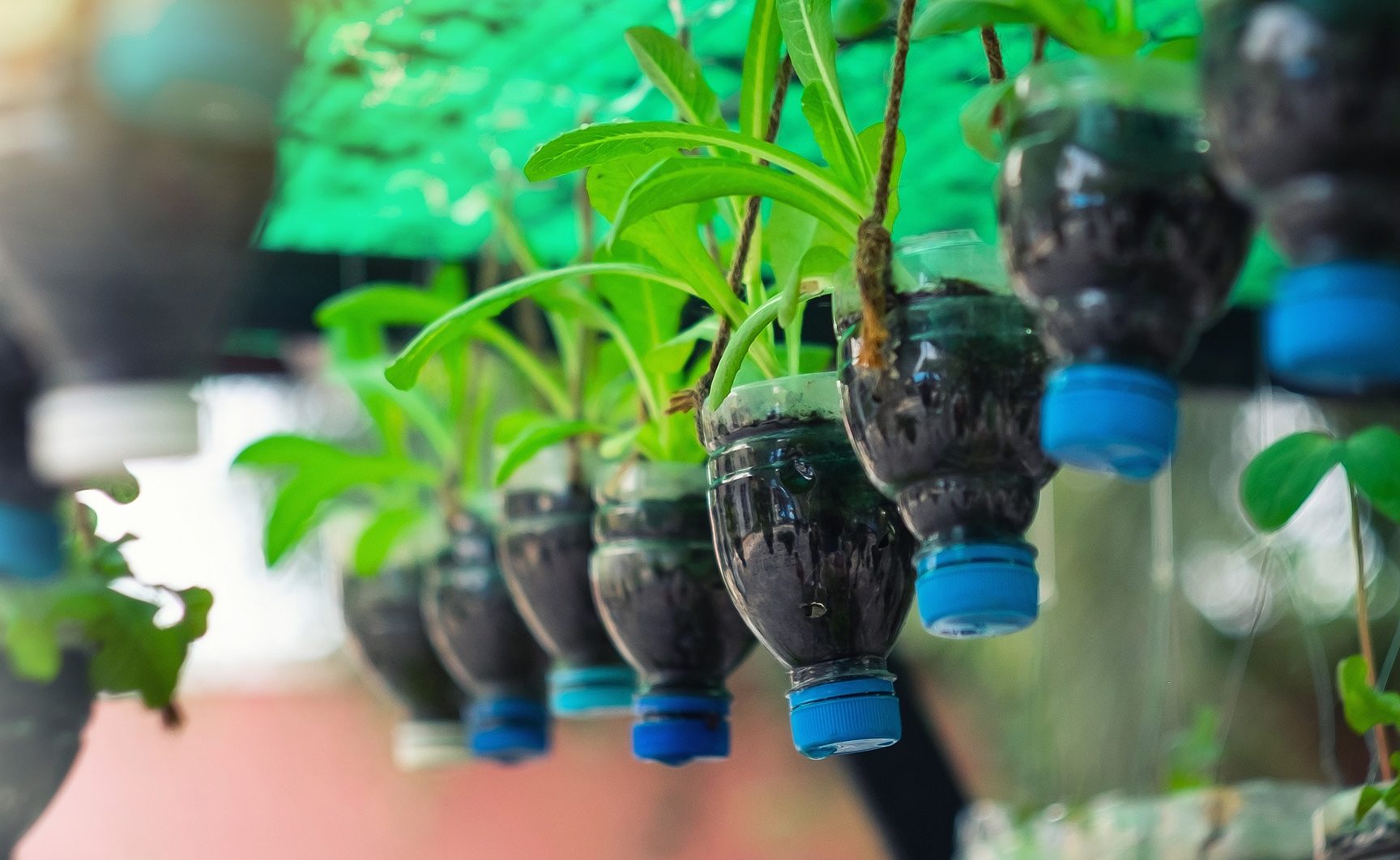 ideas creativas parareciclar botellas de plastico decoracion