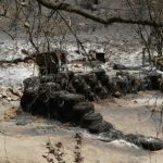 incendios forestales consecuencias causas y prevencion