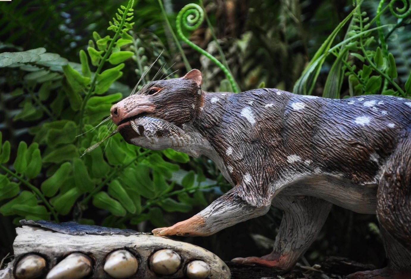 la fascinante diversidad de los mamiferos terrestres y su evolucion